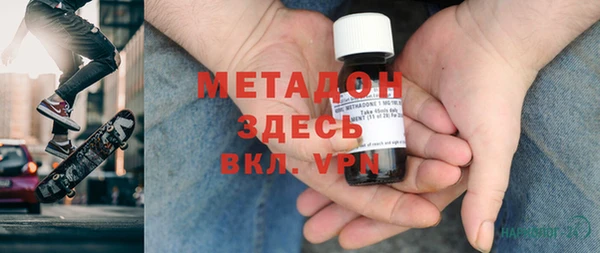 прущие грибы Богданович