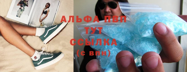 прущие грибы Богданович