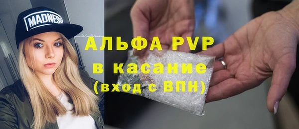 стафф Бронницы