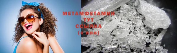 прущие грибы Богданович