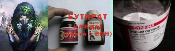 прущие грибы Богданович