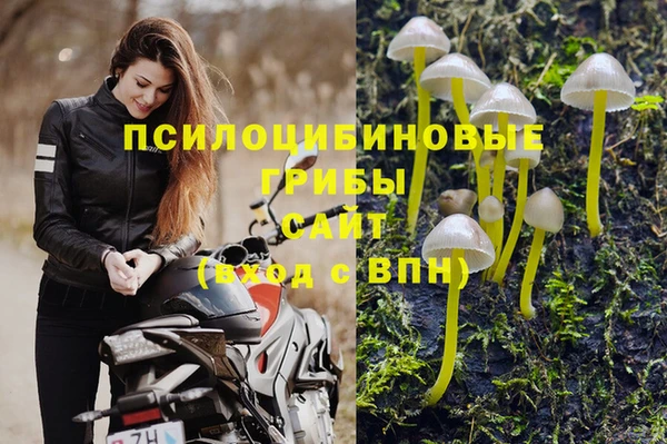 ешки Богородск