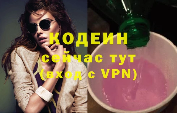 прущие грибы Богданович