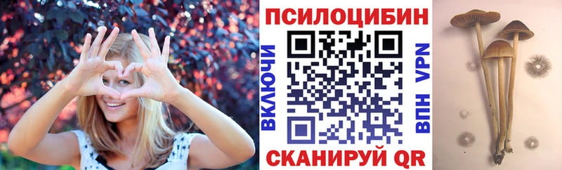 Псилоцибиновые грибы ЛСД  хочу   Михайловка 