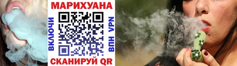 это Telegram  Михайловка  Конопля ГИДРОПОН 